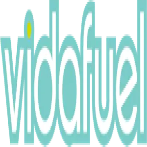 vida-fuel.com