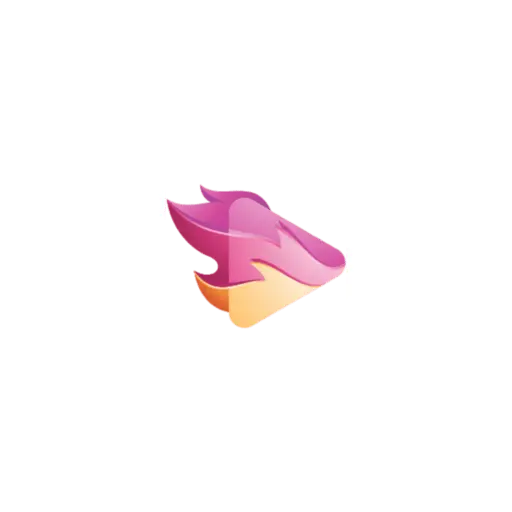 VidBurner
