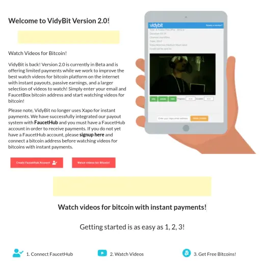vidybit