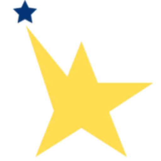 viedu.org