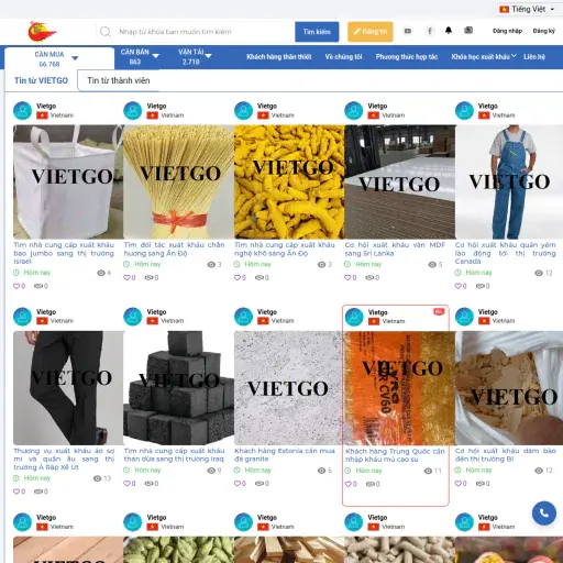 Vietgo.vn