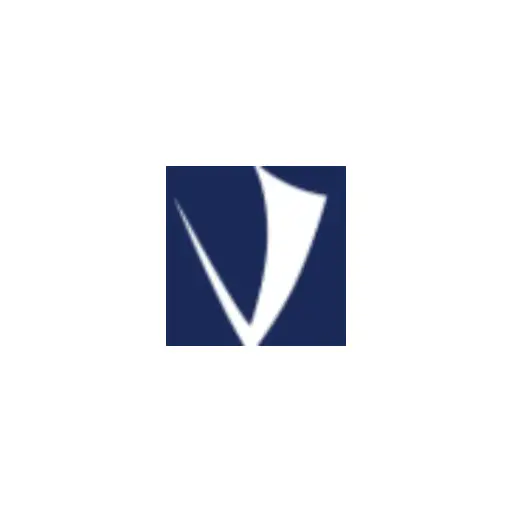 Viking Mergers & Acquisitions
