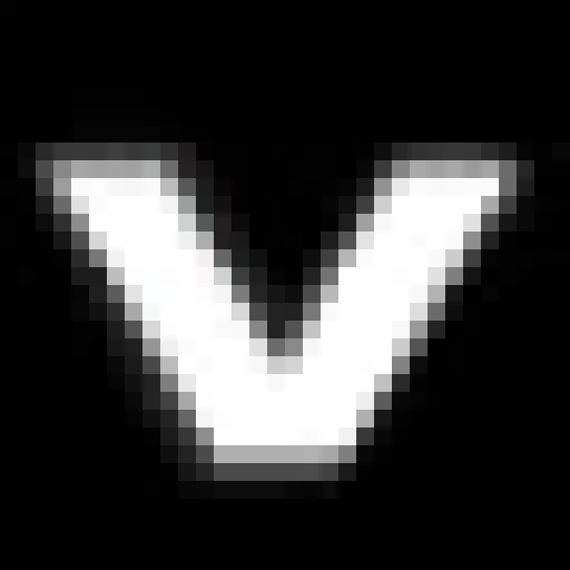 Vision Computers, Inc.