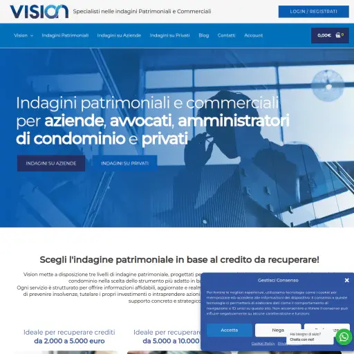 Visionindagini