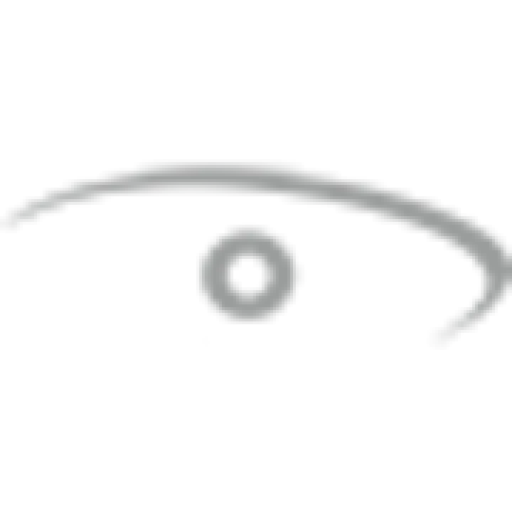 Vision Translation