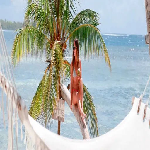 Visitormaldives
