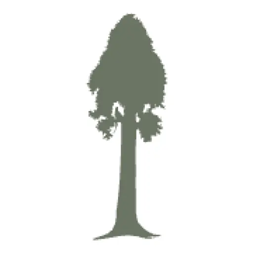 Visit Sequoia Kings