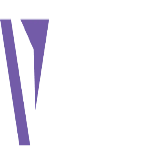 Vizzion Group