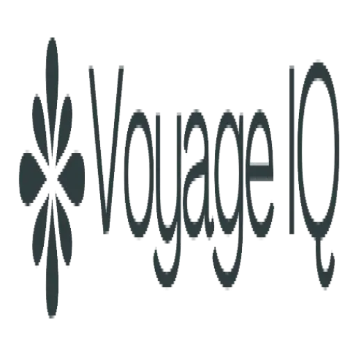 Voyage IQ