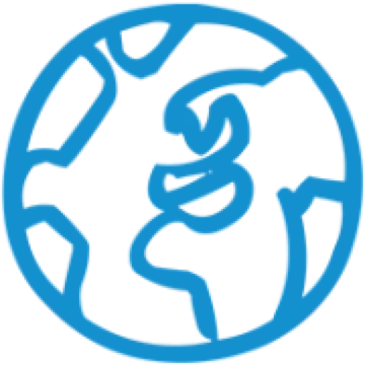 voyagerschooltravel.com