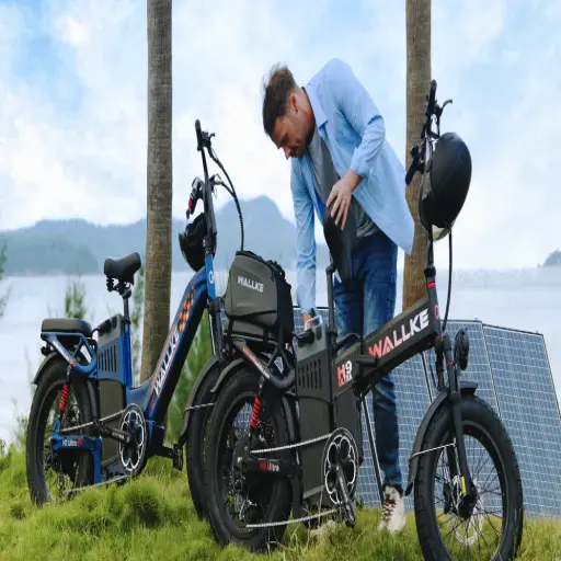 Wallke Ebike