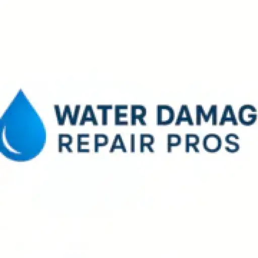waterdamagerepairbrooklyn.com