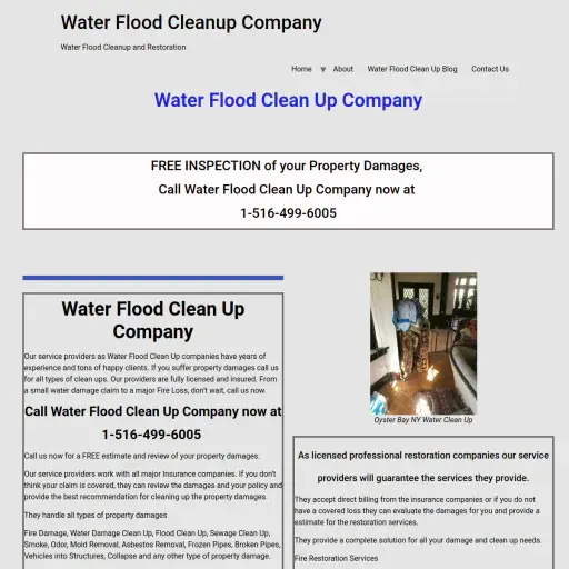 Waterfloodcleanup