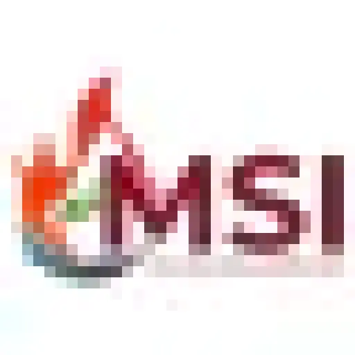 Wearemsi
