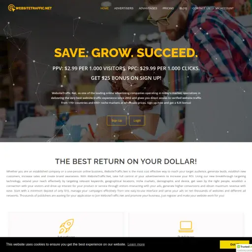websitetraffic.net
