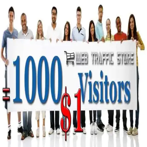 Web Traffic Store