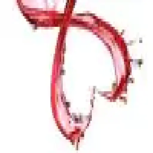 Wellnessapnllc