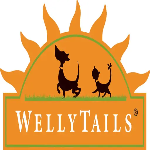 wellytails.com