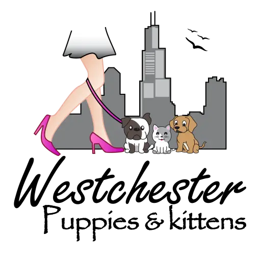 Westchesterpuppies