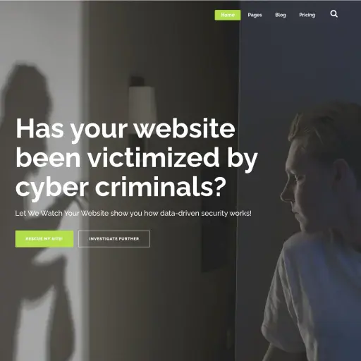 We Watch Your Website