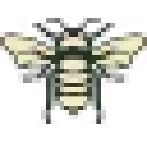 WILDERLAND BOTANICALS