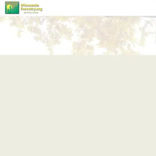 Wisconsin Council on Forestry