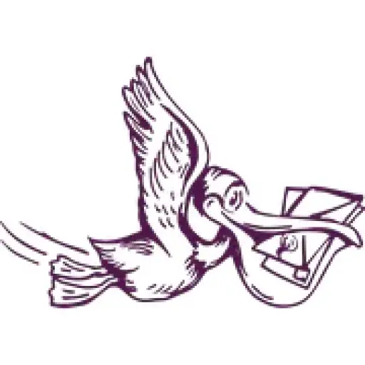 Wise Pelican