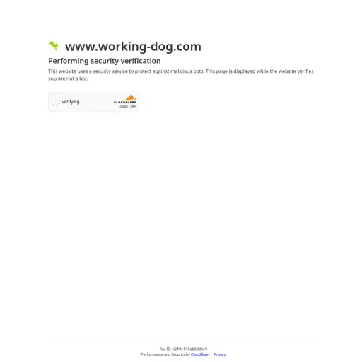 working dog