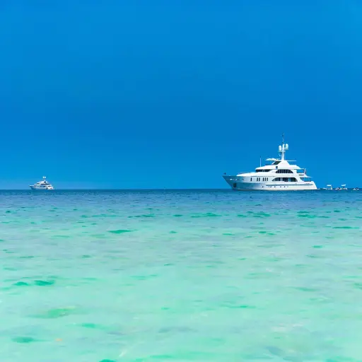 Yachts in Paradise