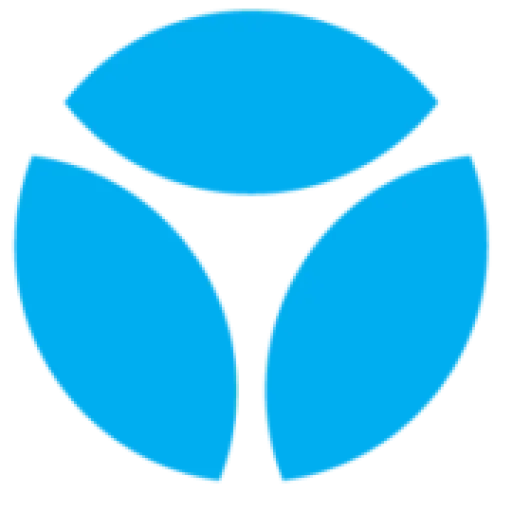 YANGAROO inc