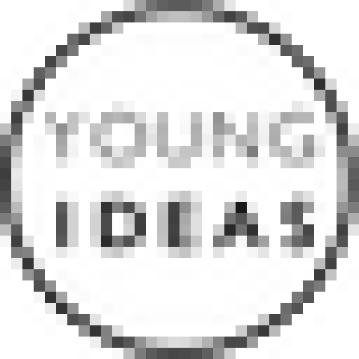 Youngideasfashion