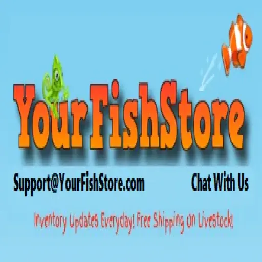 YourFishStore