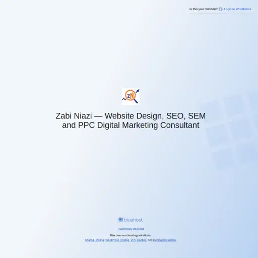 Zabi Niazi - SEM, SEO and PPC Marketing Consultant