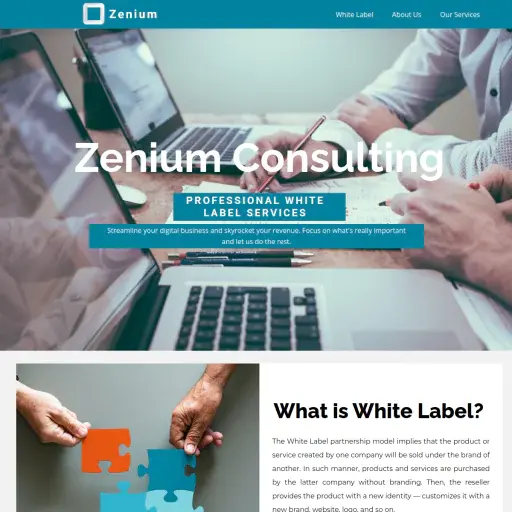 Zeniumconsult