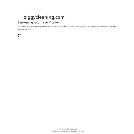 Ziggycleaning