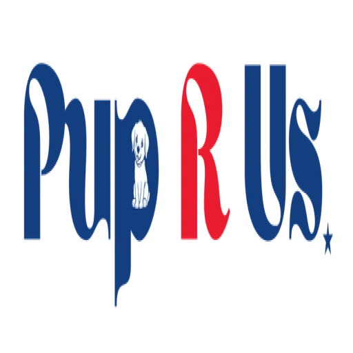 ziggydogtrainingcollar.com