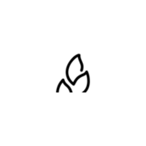 Zinßer Mühle seit 1524